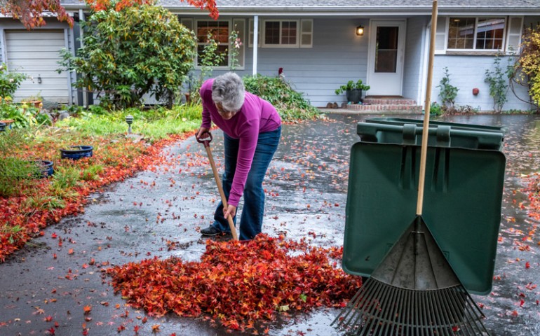 Senior Raking Autumn Leaves