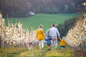 hearing damage, reverse hearing loss